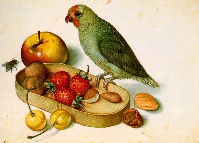 Nature morte au perroquet - Georg Flegel (1566-1638) Kupferstichkabinett Berlin